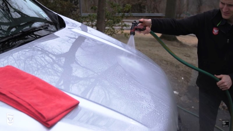 Як видалити пташиний послід з кузова автомобіля Как удалить птичий помёт