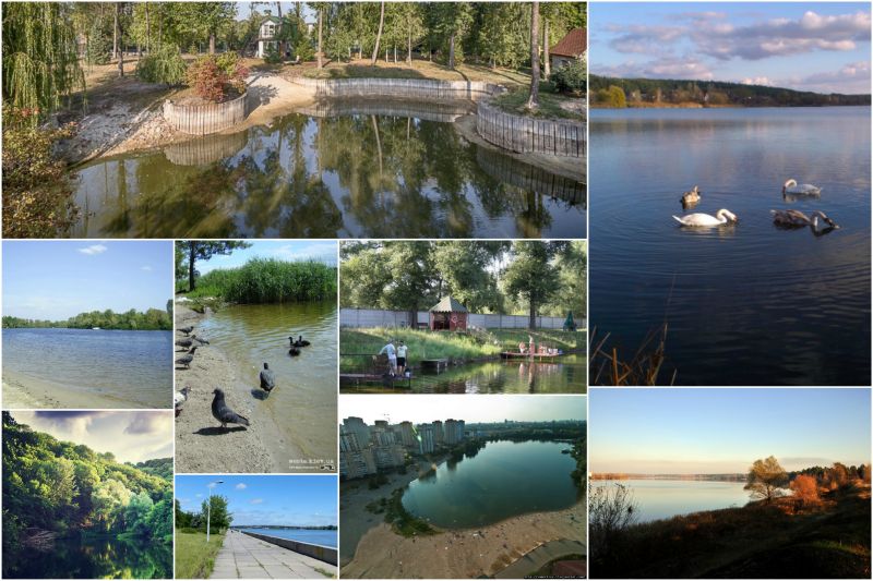 Топ мест для хорошей рыбалки в Киеве