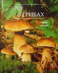 Класифікація грибів Классификация грибов