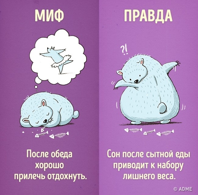 Шкідливі звички, які ми даремно вважаємо корисними Вредные привычки, которые мы напрасно считаем полезными