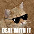 Deal with it (Змирися з цим)