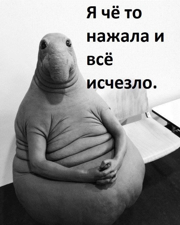 Ждунов - наймиліший мем Ждун — самый милый мем