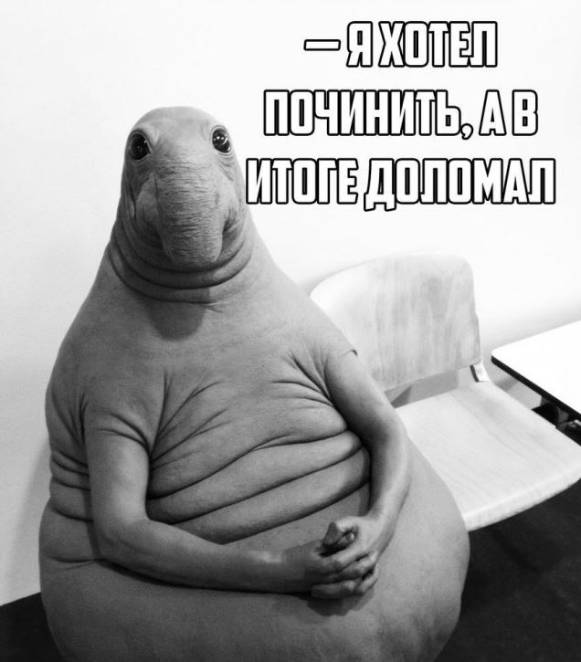 Ждунов - наймиліший мем Ждун — самый милый мем
