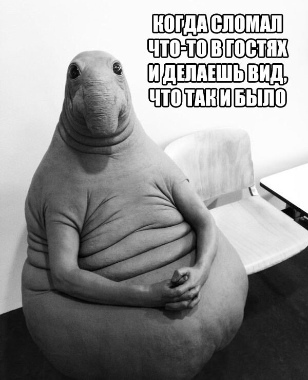 Ждунов - наймиліший мем Ждун — самый милый мем