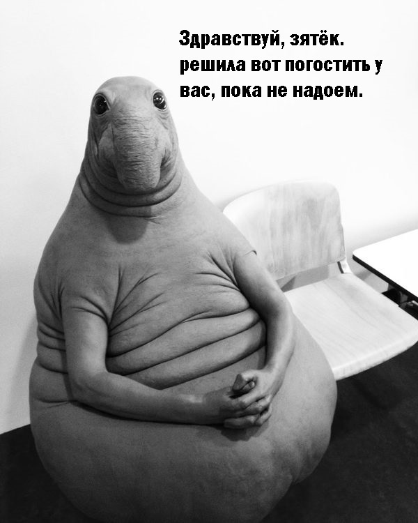 Ждунов - наймиліший мем Ждун — самый милый мем