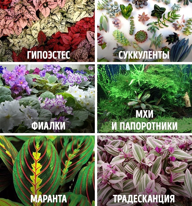 Казковий міні-сад своїми руками Сказочный мини-сад своими руками
