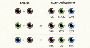 Як колір очей передається від батьків дитині Рассчитать цвет глаз ребенка