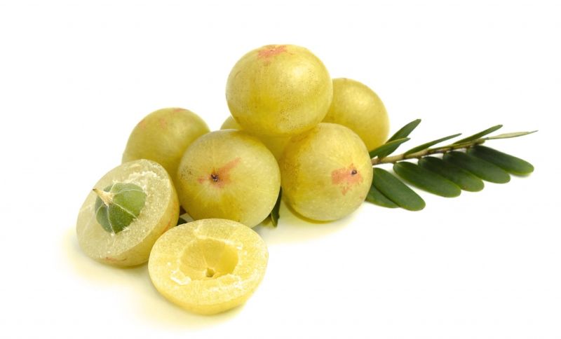 Корисні продукти для печінки, які її очищають і захищають Очищение печени