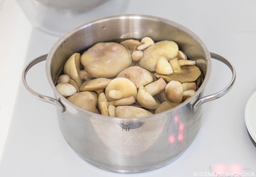 маслюки Мариновані Маринованные маслята