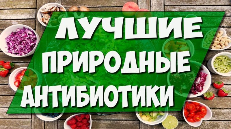 Вчені назвали найкращі природні антибіотики Природные антибиотики