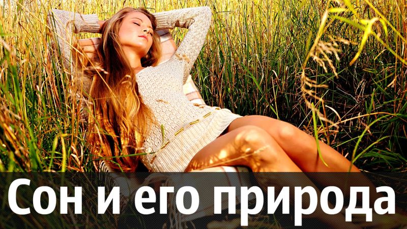 Сон як причина втоми Сон как причина усталости