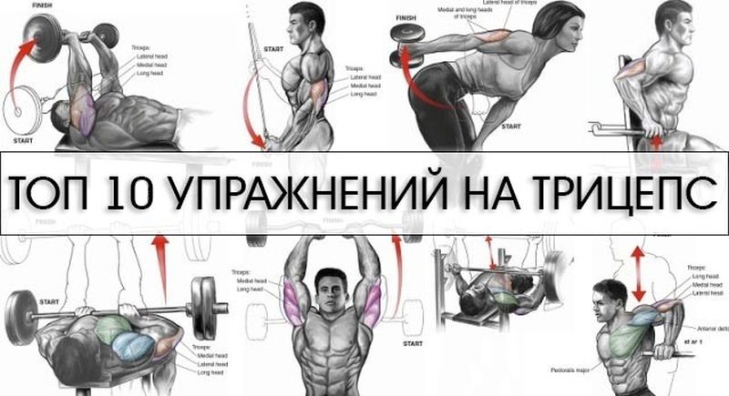 Вправи для побудови могутніх трицепсів Упражнения для трицепсов