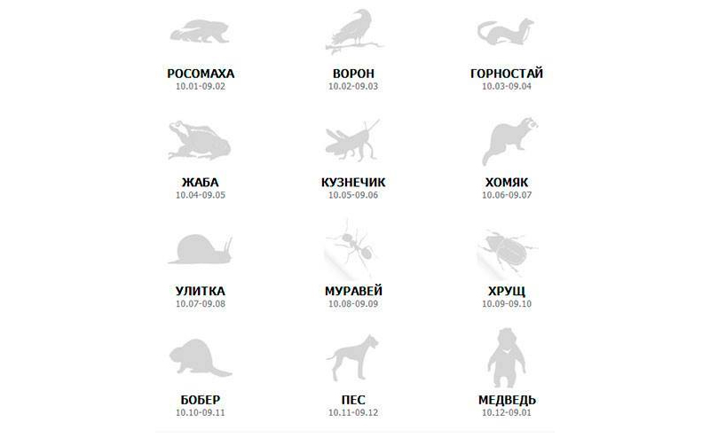 До якого тварині ви ставитеся зодіаку Какое вы животное по зодиаку