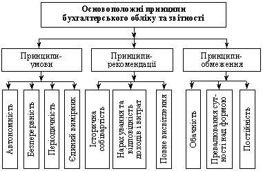 Система принципів бухгалтерського обліку України