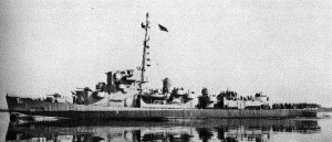 Морський есмінець з ім'ям DE 173