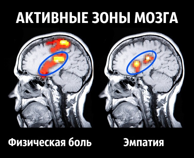 Поради нейробіолога про те, як стати щасливим раз і назавжди Как стать счастливым