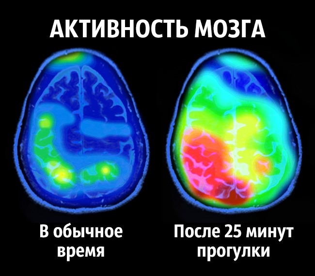 Поради нейробіолога про те, як стати щасливим раз і назавжди Как стать счастливым