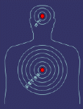 Killer Targets «Shoot Somethin Different» - Цікаві мішені для стрільби