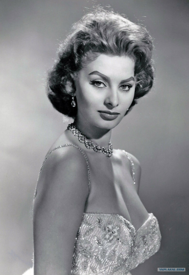 Актриса, Співачка, Шикарна Софі Лорен (Sophia Loren)