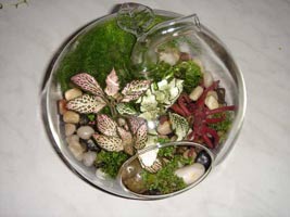 пляшковий садок