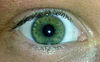 Зелений очей - Види квітів очей