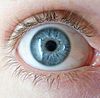 Блакитне око - Види квітів очей