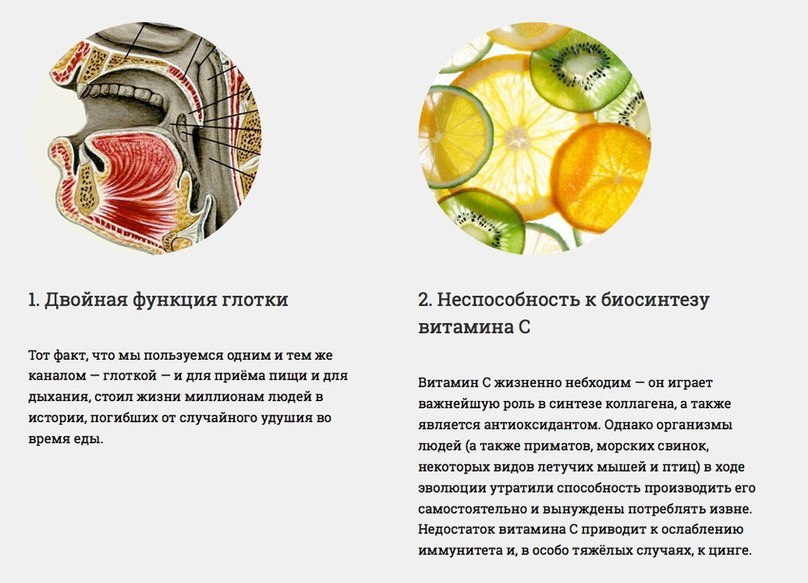 Наше тіло недосконале Наше тело несовершенно