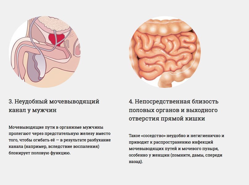 Наше тіло недосконале Наше тело несовершенно