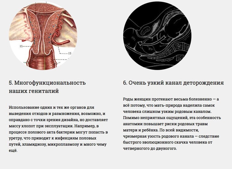 Наше тіло недосконале Наше тело несовершенно