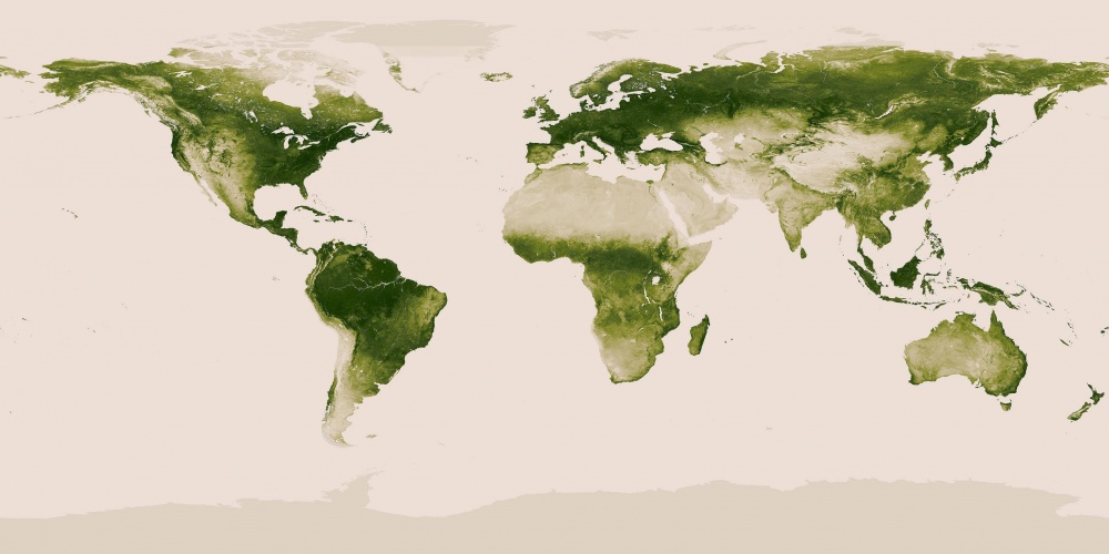 45. Карта растительности на Земле