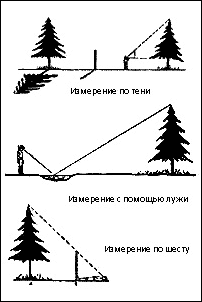 Орієнтування на місцевості Ориентирование на местности