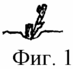 СПОСІБ ВЕДЕННЯ ВИНОГРАДНИХ КУСТОВ