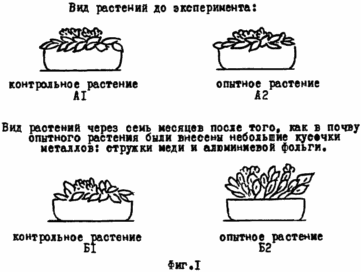 СПОСІБ електростимуляції ЖИТТЄДІЯЛЬНОСТІ РОСЛИН