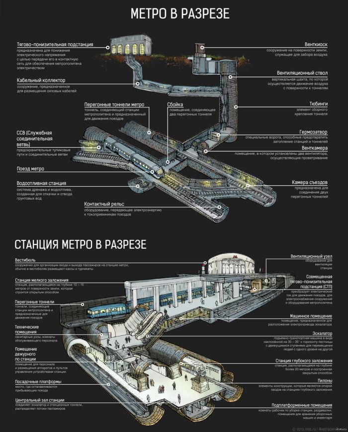 Метро в розрізі